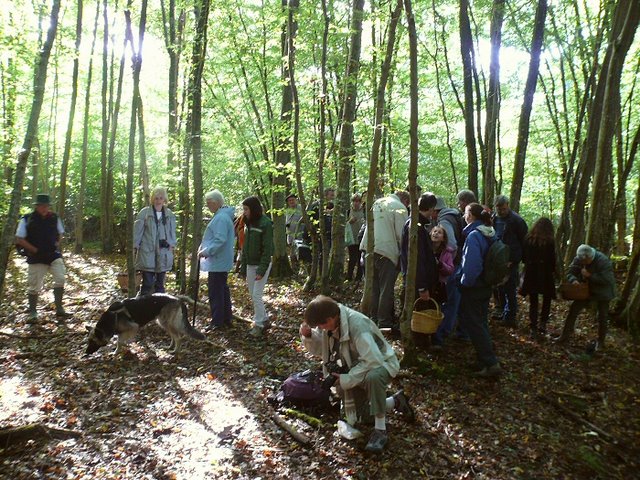2011 09 18 Sortie myco étang d'Or 09